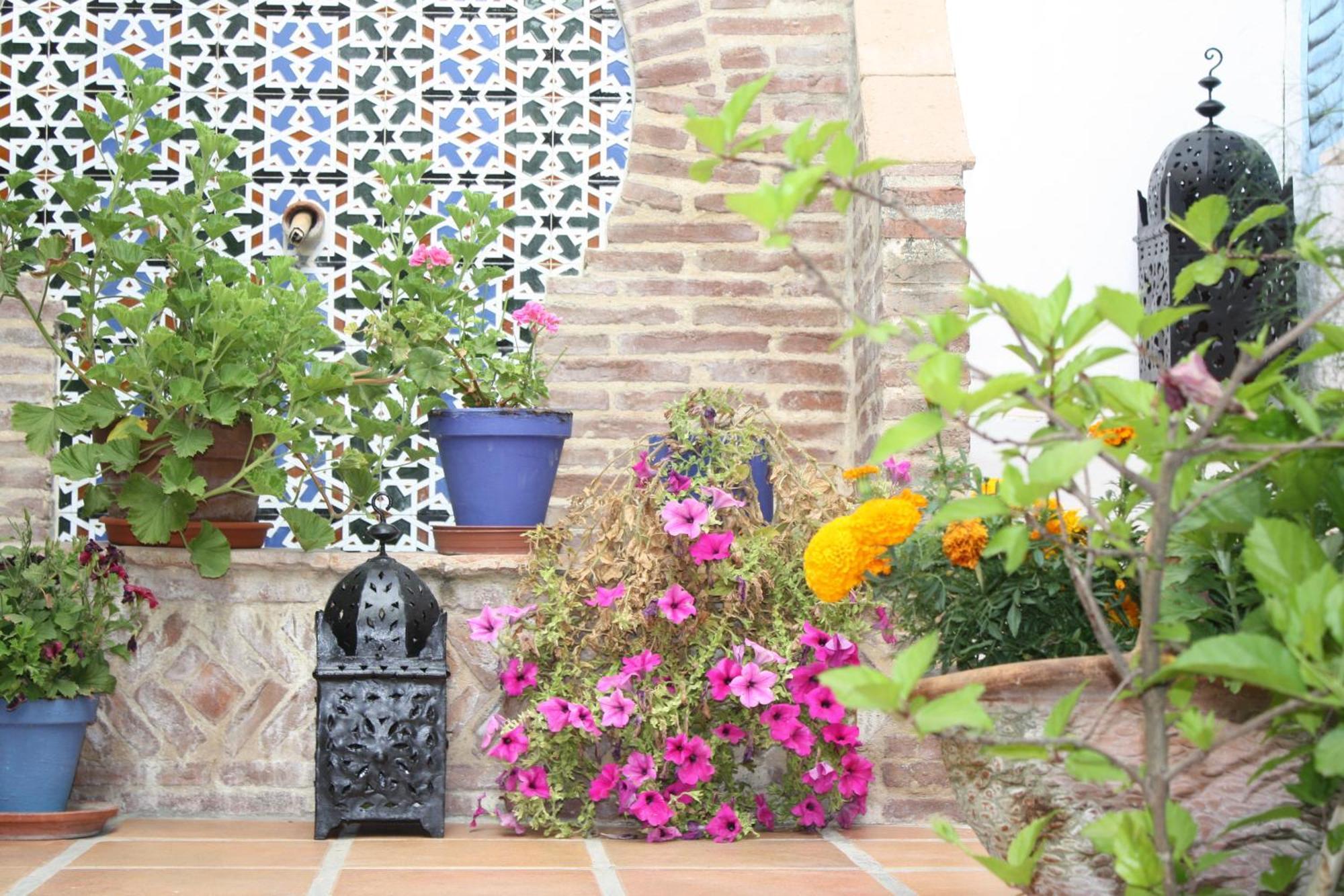 El Cobijo De Vejer Hotel Vejer de la Frontera Exterior photo